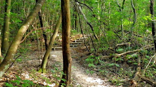 人文研究見聞録：黄泉比良坂 ［島根県］