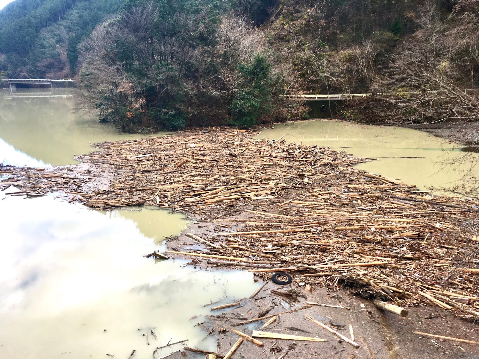 一向に濁り取れない名栗湖 でも ワカサギ釣りはまずまず テンカラと名栗川の釣り 里川専門のテンカラ釣り Tenkaratrain