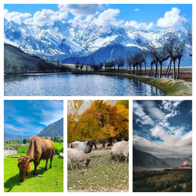 Best Tourist Places in Gilgit Baltistan