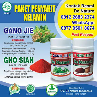 obat alami untuk sipilis kencing panas paling ampuh di apotik