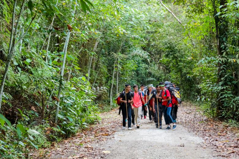 Groups of 10 allowed for local tours, posted on Friday, 31 July 2020.