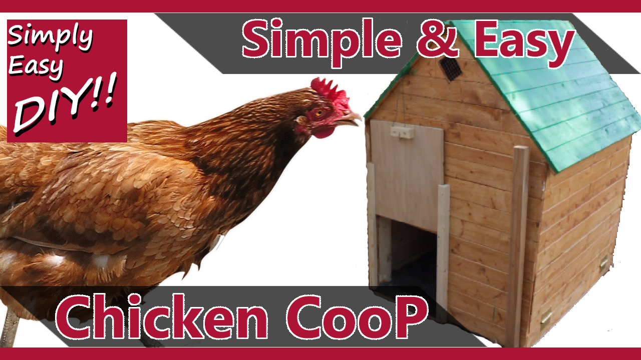 Simply Easy DIY: Medium Size Backyard Chicken Coop - 6 to 8 Chickens
