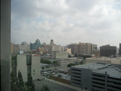 EVO 12th Floor View