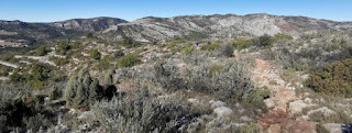 Ruta senderista por los alrededores del Tossal Gros de Castellón.