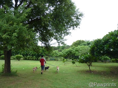 park 2