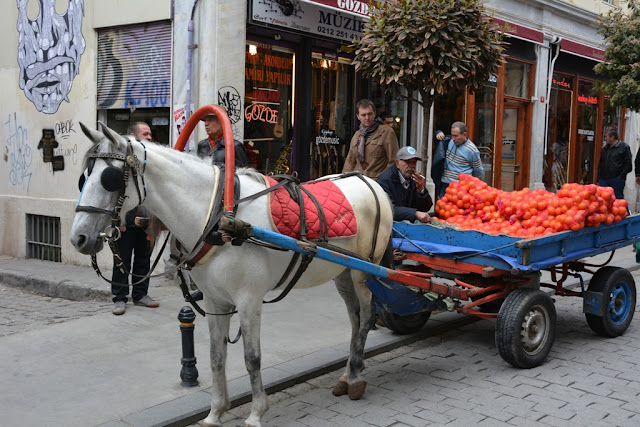 Horse and farmer in Istanbul