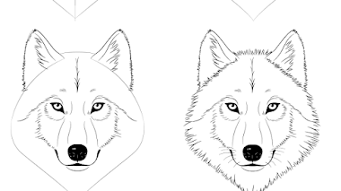 Aprende Como Dibujar Lobos por Pasos - Guia + Consejos