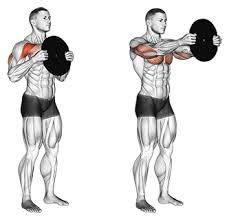 Plate press for developing the inner chest