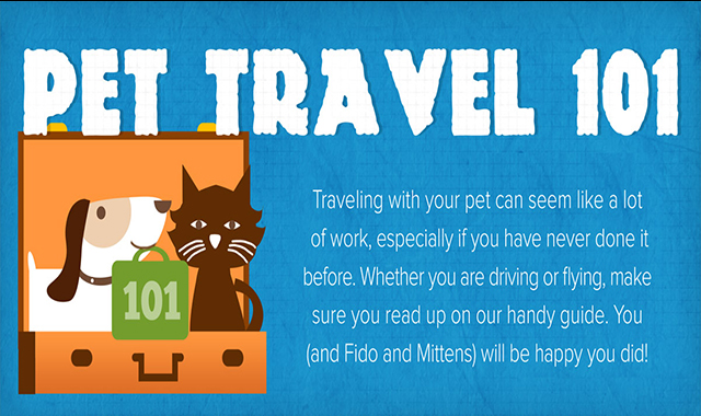 Pet Travel 101 