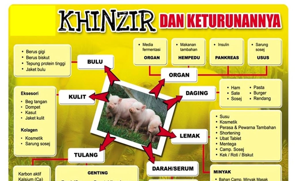 Ketenanganku Hanya DisisiMUALLAH: SENARAI NON 