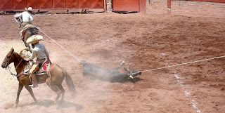 mary cummins, animal advocates, charreria, rodeo, rodeo ban, los angeles, california, animal cruelty, spain, mexico, ranchero, horses, abuse, death, charro