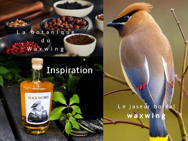 waxwing,gin,gatineau,gin-de-gatineau,artiste-in-residence-distillerie,gin-quebequois,madamegin