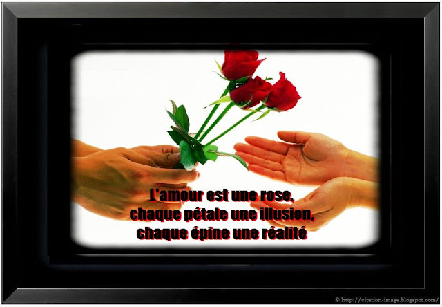 Citation D'amour