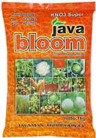 KNo3 Super Java Bloom