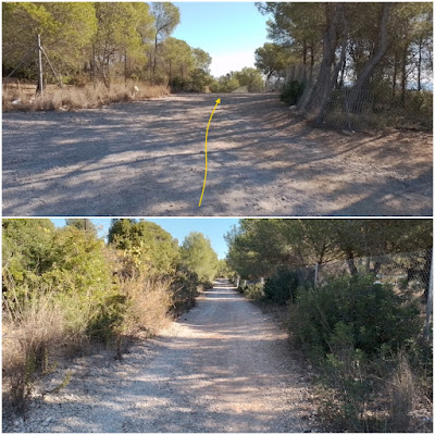 CUNIT - PUIG DE LA MINA - PUIGDETIULA-TURÓ DE L'AVENC - AVENC SANT ANTONI, Camí en direcció a la urbanització les Basses