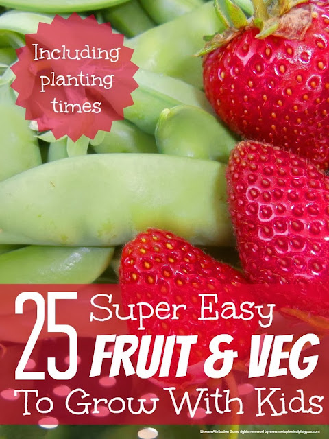 Best Fruit and Veg to Grow with Kids