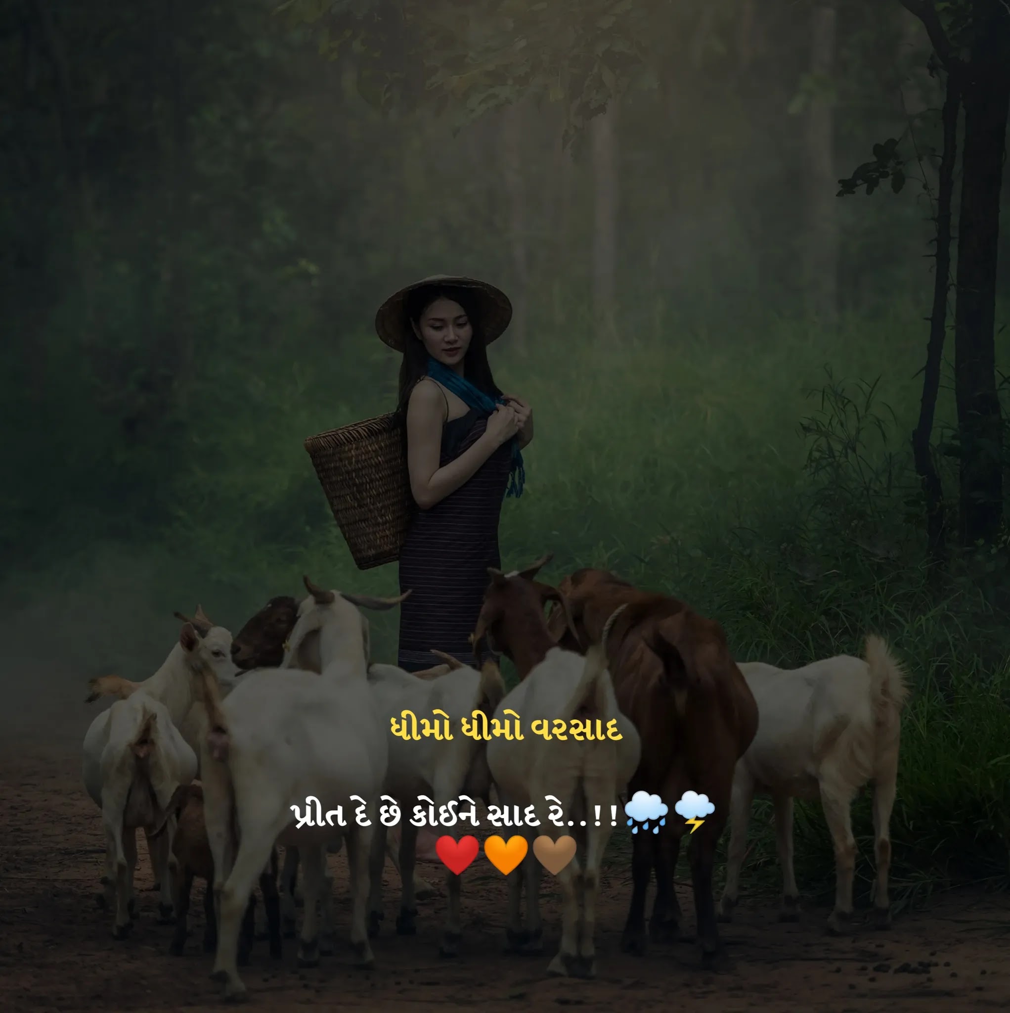 Varsad Shayari with Beautiful lady in rain