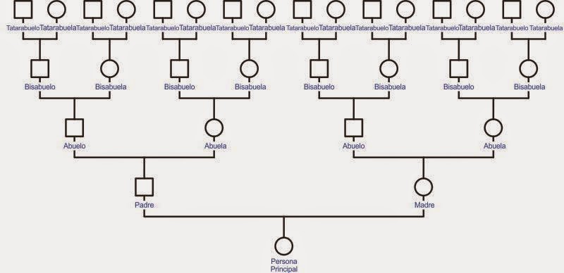 BIODESCODIFICACION 5 PUNTOS PARA EMPEZAR A INTERPRETAR EL ARBOL GENEALOGICO Psicología