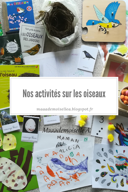 || Nos activités sur les oiseaux