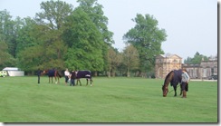 Grazing