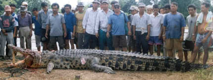 FexciAciMan.com: Foto Foto Buaya Terbesar yang Ada Di Dunia