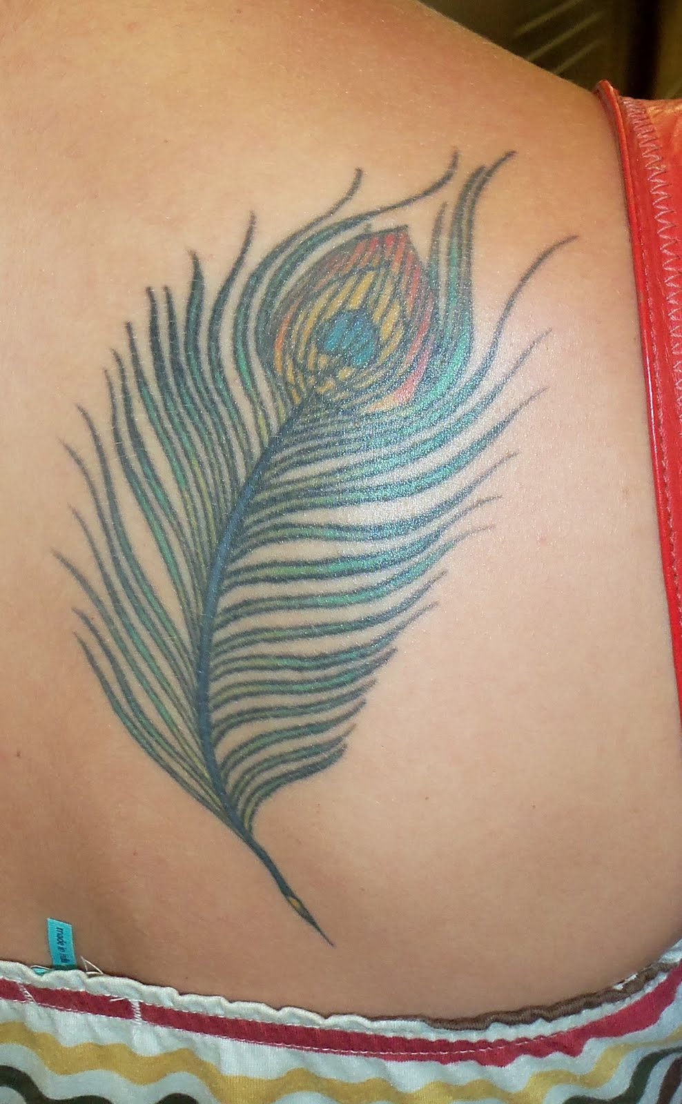 peacock tattoo miami ink