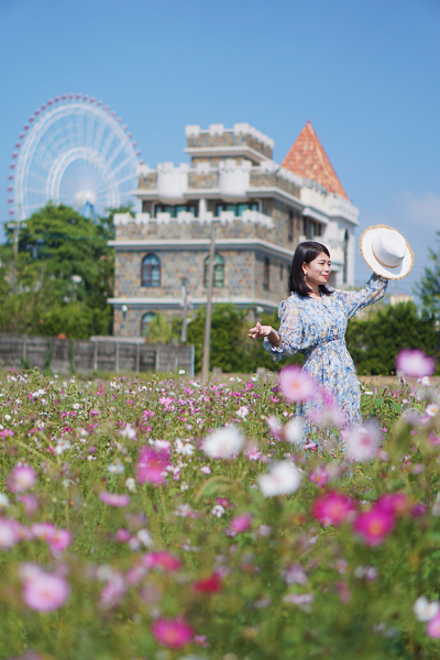 台中后里農村城堡波斯菊花海搭配麗寶樂園摩天輪，好像童話世界