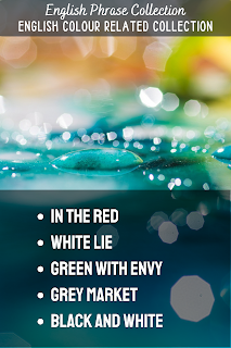 English Phrase Collection | English Colour Related Collection | In the red,  White lie, Green with envy, Grey market, Black and white