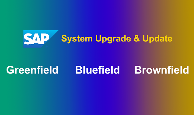 Tổng quan hệ thống SAP ERP: Các phương pháp chuyển đổi hệ thống