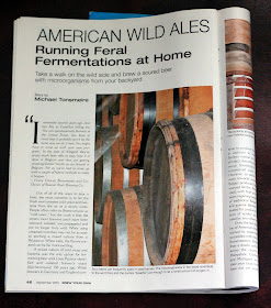 The first page of my BYO article on American Wild Ales.