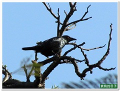 20110420_155652_008_228Park
