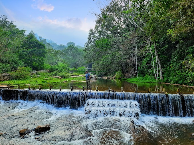 Wild drives in Lower Bhavani, Shollurmattam & Bommiyampadi Tribal zone