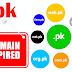 Expired PKNIC .PK Domains