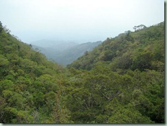 DSC00797