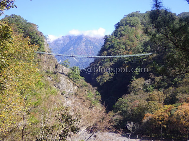 Taiwan Aowanda (奧萬大) maple season - Aowanda Suspension Bridge