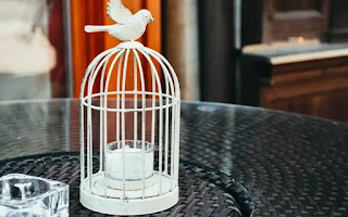 white bird cage teaching redemption