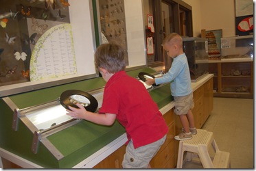 Natural History Museum 2011 103