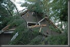 Storm for web (9)