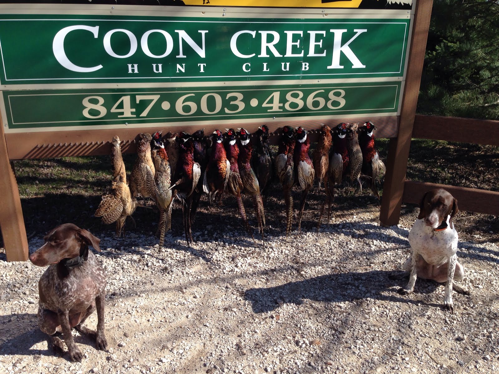 Guided hunt