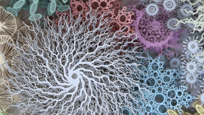 El microbioma humano reinventado como un arrecife de coral de papel cortado
