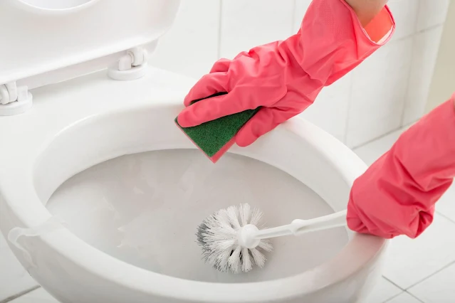 the Best Homemade Toilet Bowl Cleaner