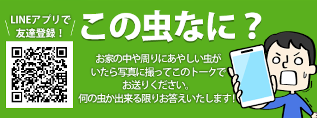 昆虫同定サービス「この虫なに？」