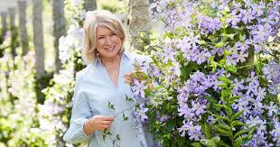 "Martha Stewart Makes History as Oldest Sports Illustrated Swimsuit Cover Model at Age 81"