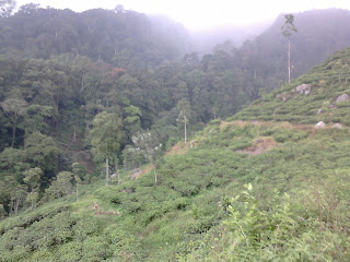 Air Terjun Medini