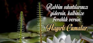 Cuma Mesajları #cuma  Resimli Cuma Mesajları 🌹