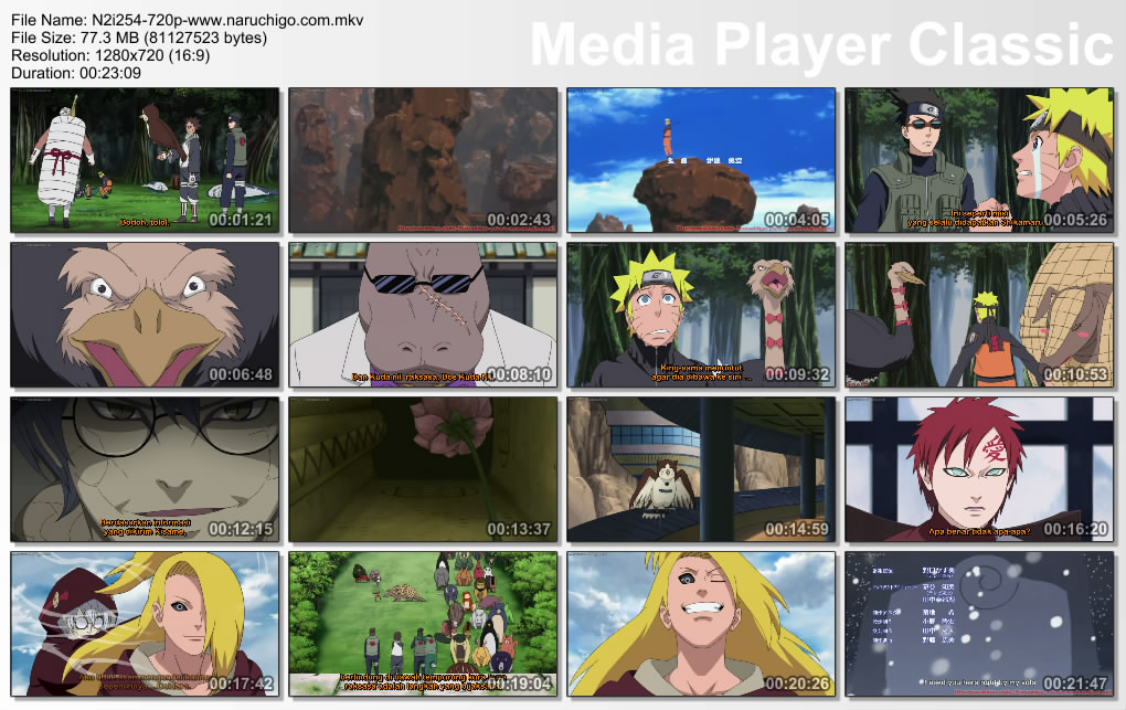 DOWNLOAD FILM NARUTO SHIPPUDEN EPISODE 254 SUBTITLE BAHASA INDONESIA