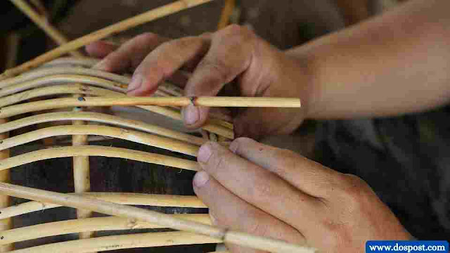 rotan Sifatnya yang Fleksibel