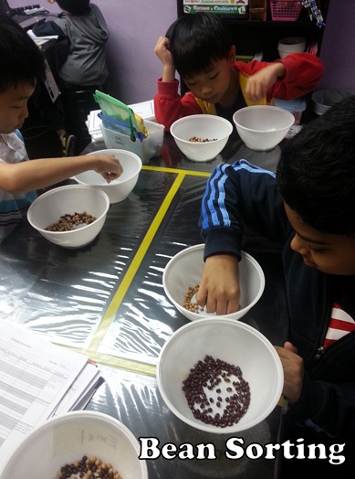 Thinkersbox Bean sorting