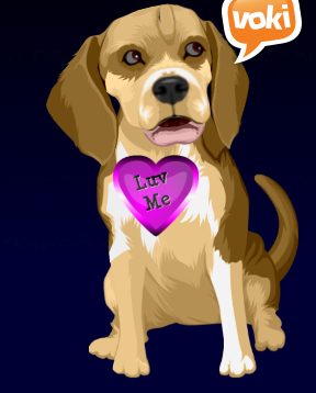 Voki