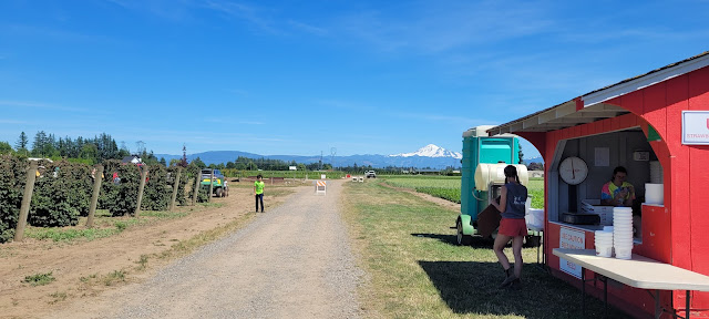 Nice view of Mt. Baker and the U-Pick Farm Booth